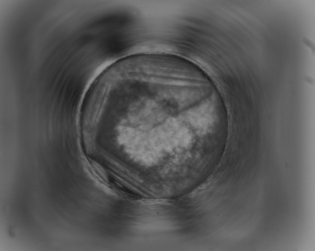 X0000092050864200710101014