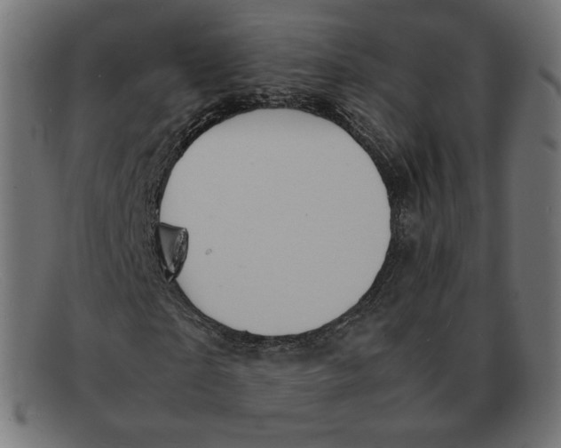 X0000092050865200710101014