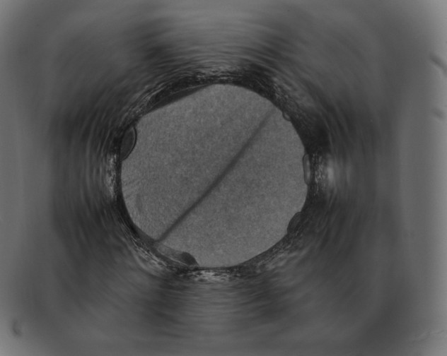 X0000092050868200710101014