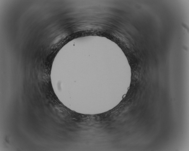 X0000092050869200710101014