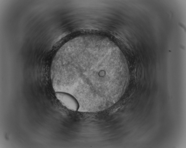 X0000092050870200710101014