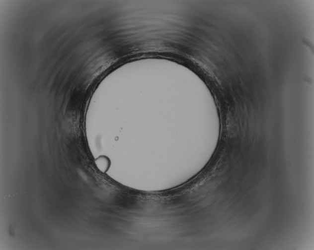 X0000092050873200710101014