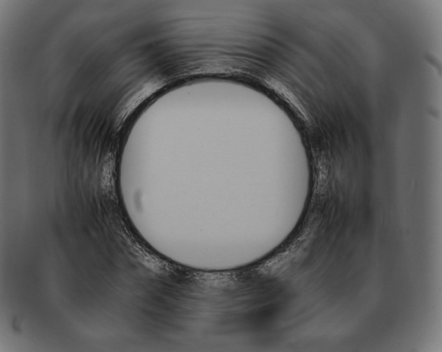 X0000092050874200710101014