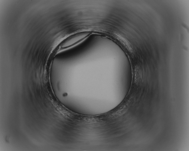 X0000092050876200710101014