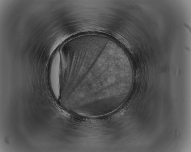 X0000092050877200710101014