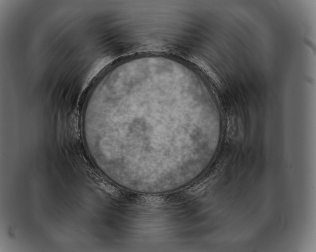 X0000092050878200710101014