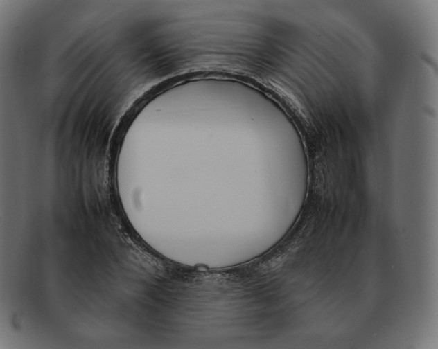 X0000092050880200710101014