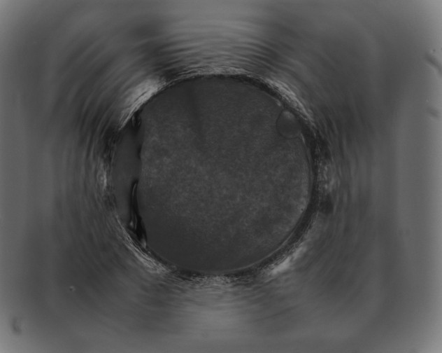 X0000092050881200710101014