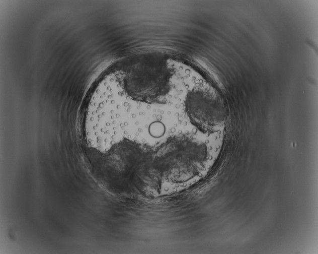 X0000092050883200710101014