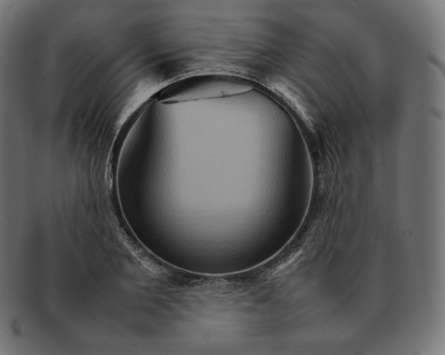 X0000092050885200710101014