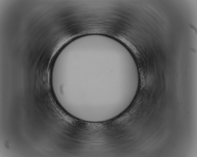 X0000092050886200710101013