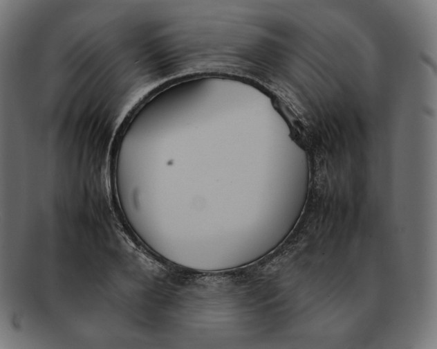 X0000092050888200710101013