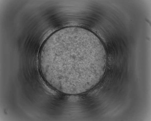 X0000092050890200710101013