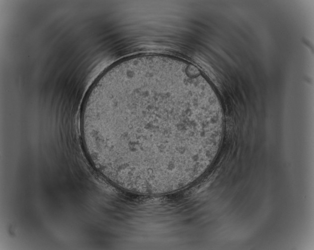 X0000092050891200710101013