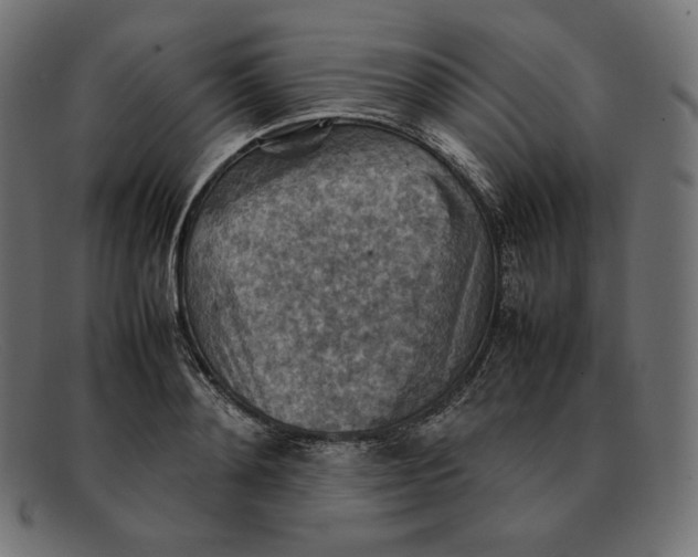 X0000092050892200710101013