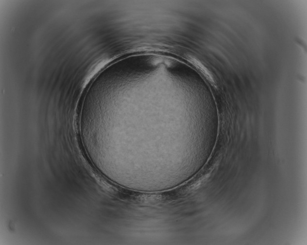 X0000092050893200710101013