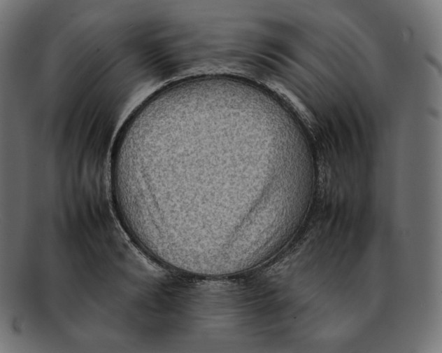 X0000092050894200710101013