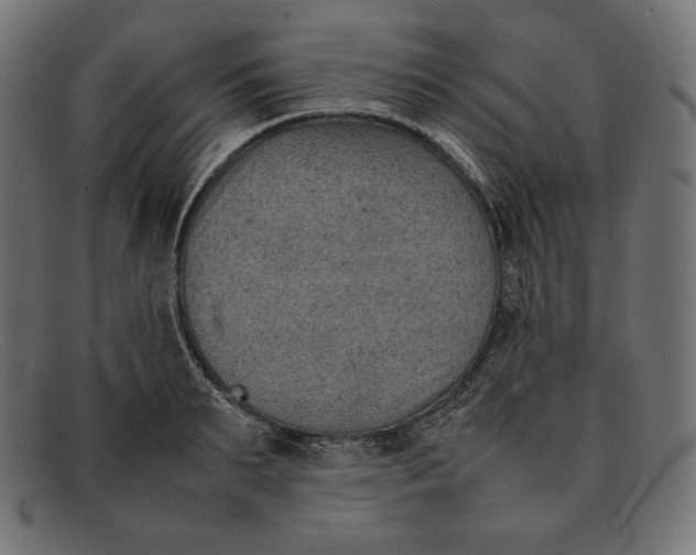 X0000092050895200710101013