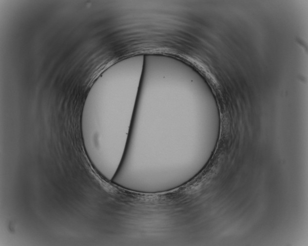 X0000092050897200710101013