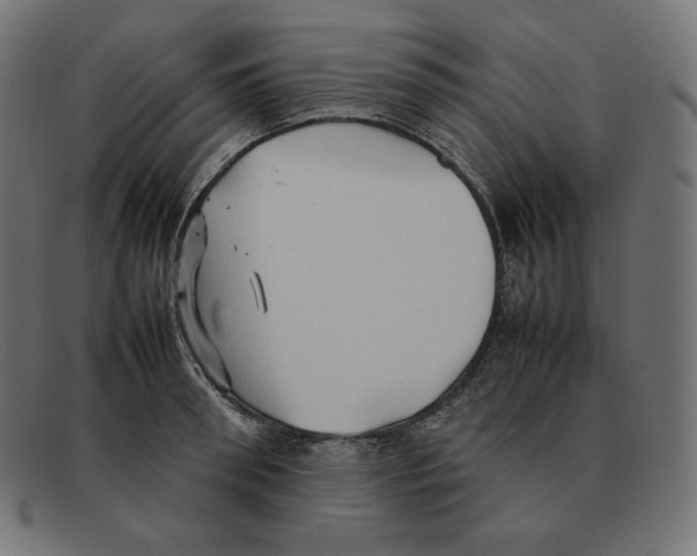 X0000092050898200710101013