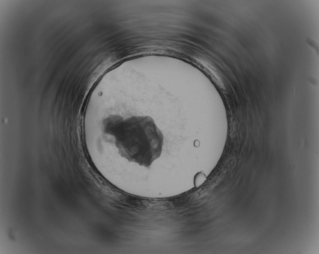 X0000092050899200710101013