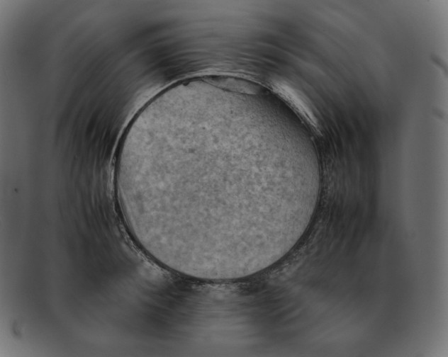 X0000092050900200710101013