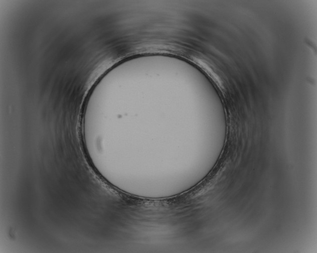 X0000092050901200710101013