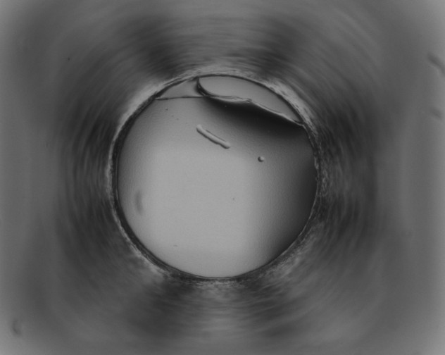 X0000092050902200710101013