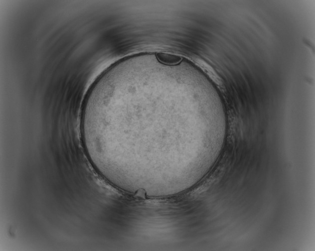 X0000092050904200710101013