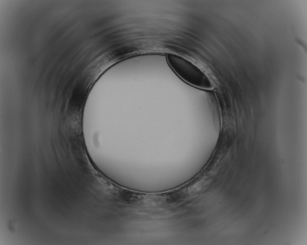 X0000092050905200710101013