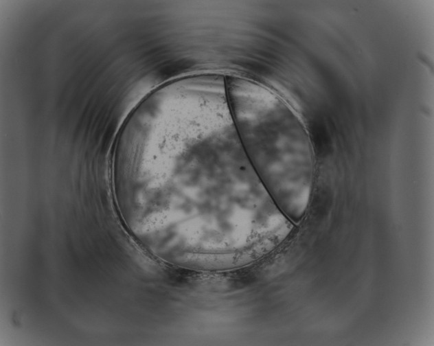 X0000092050907200710101013