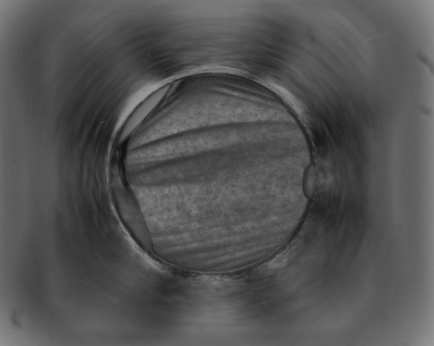 X0000092050910200710101013