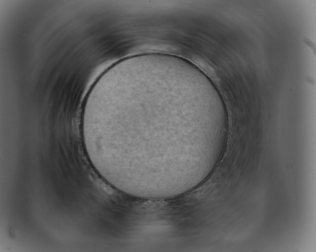 X0000092050912200710101013