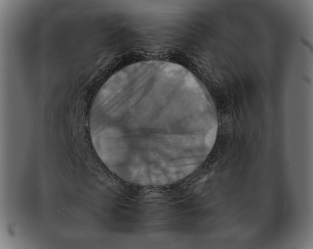 X0000092050913200710101013