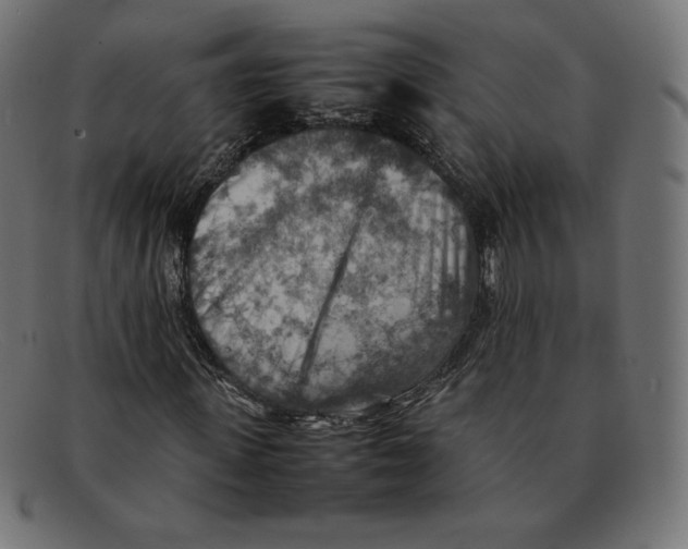 X0000092050915200710101013