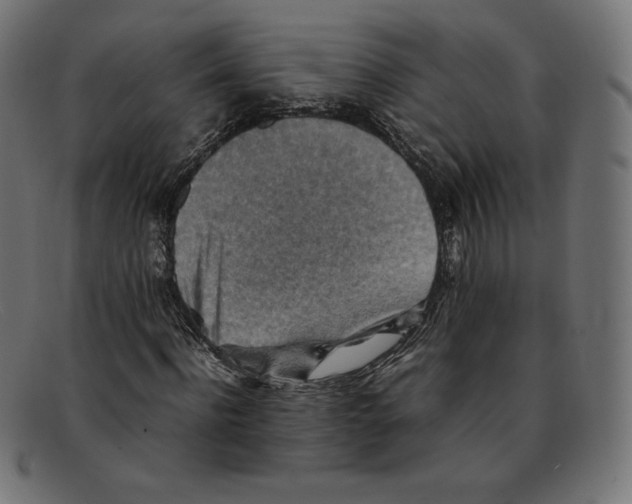 X0000092050916200710101013