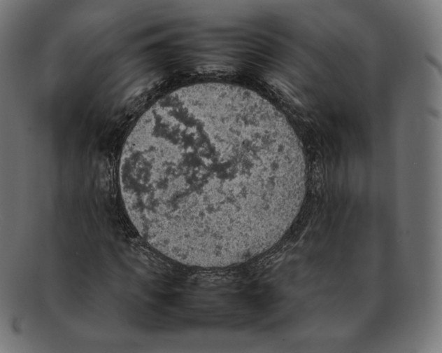 X0000092050917200710101013