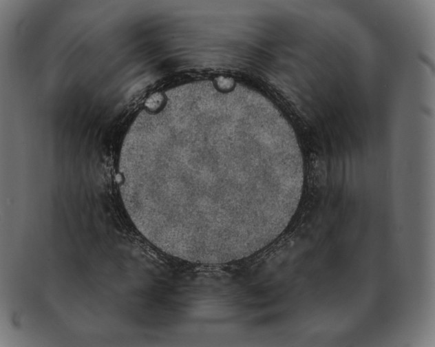 X0000092050918200710101013