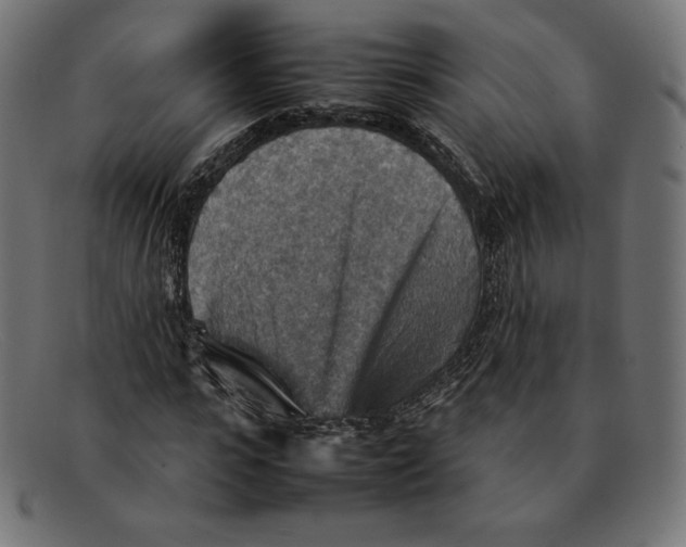 X0000092050919200710101013