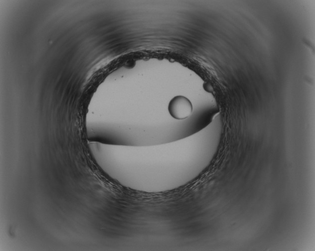 X0000092050920200710101013