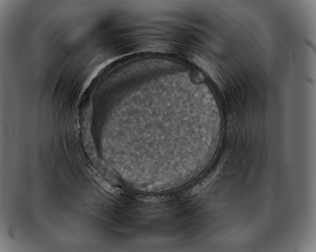 X0000092050923200710101013