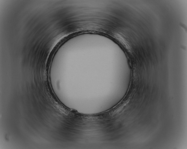 X0000092050924200710101013