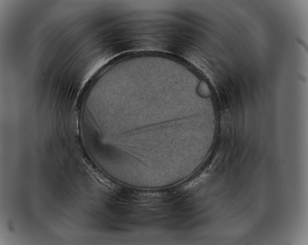 X0000092050925200710101013