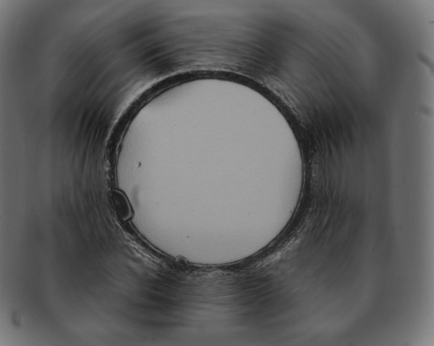 X0000092050926200710101013