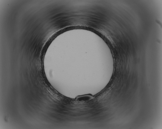 X0000092050927200710101013