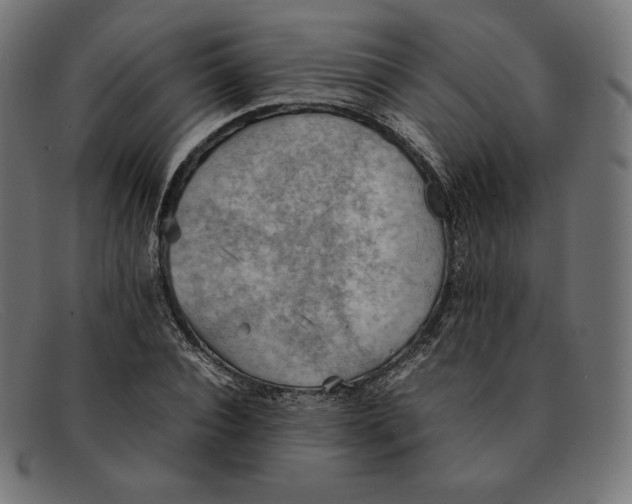 X0000092050928200710101013