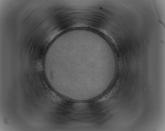 X0000092050929200710101013