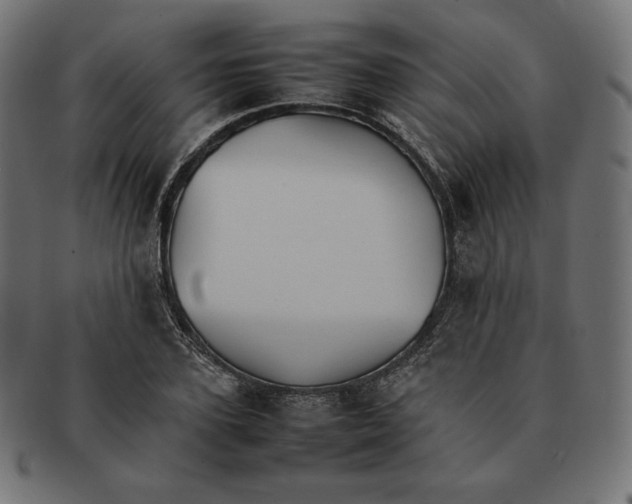 X0000092050931200710101013