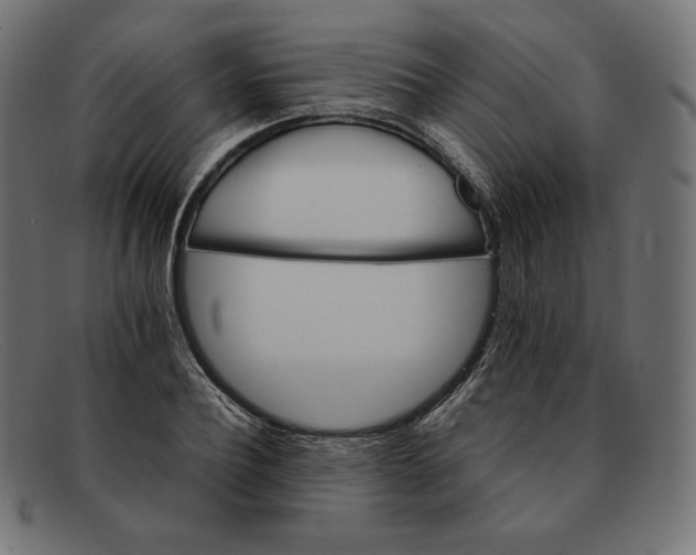 X0000092050932200710101013