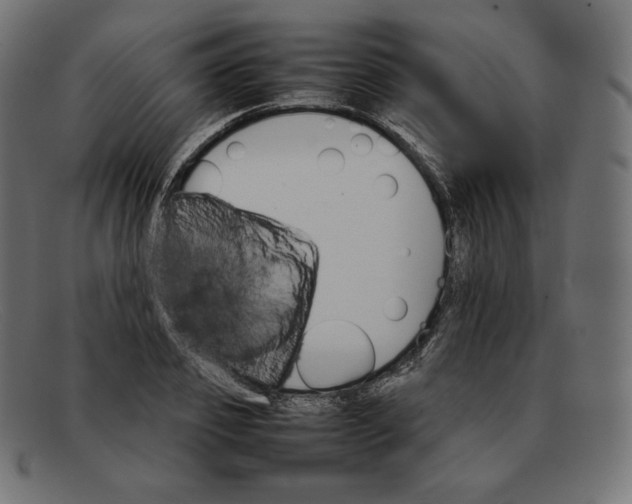 X0000092050933200710101013